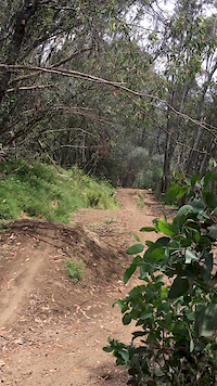 Steezing Mt Bullers Jumps
