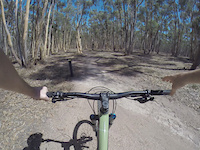 You Yangs - Lumberjack Track