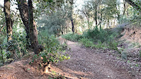Must Watch Video