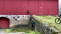 Must Watch Video