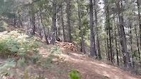 Must Watch Video