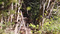 Enduro trail / Joliat Cycles