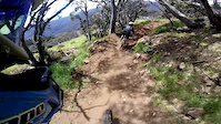 Blake crash - Dec 2019