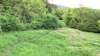 Flowy part of the Katzenburg Trail