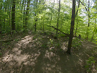 Quaker Short DH section