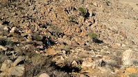Alex Miller Going up Costas Climb