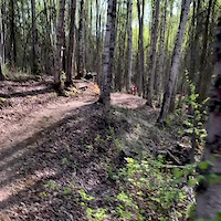 Be Like Jack!  Kickster Singletrack in Alaska.