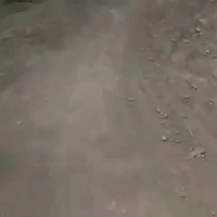 Must Watch Video