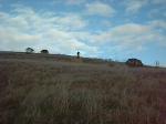 Bay Trail Edit