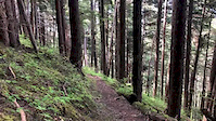 Ebiked to snow line