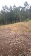 Valongo roadgap