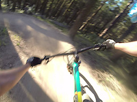 Hitting a tree - FAIL