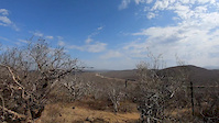 Sierra Madra