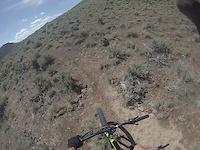Mahogany Trail (Down)