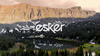 Elkat in the Alpine
