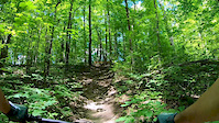 rooted wall,berm alley and two steps up