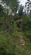 Crash alta tensión