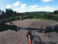 Lower Cliff Run - Cannock Chase / Follow the...