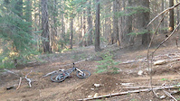 5 Mile Jump