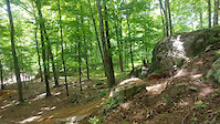 Must Watch Video