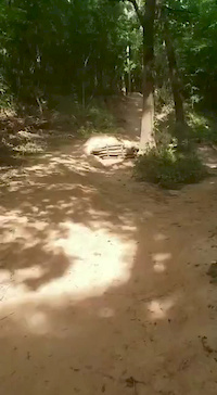 John Whipeout AH