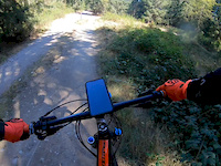 Swan Creek