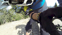 Búho tail view
