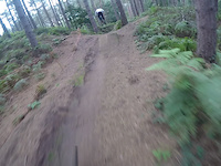 crashed into a tree into side flip.