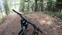 Snaggle Tooth got my derailleur cable