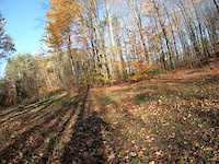 Second section