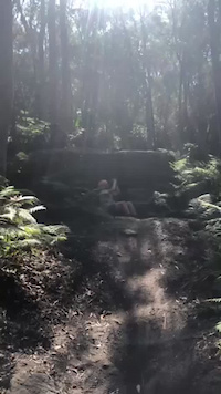 my crash