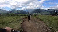 Morgins