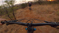Only In Africa (Springbok Crossings)