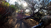 Manzanita Trail - Nor Cal
