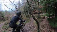 Shredding Tavi Woods