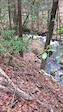 Stones Brook