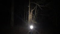 Fitzgerald Rock Roll NightTime