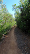 'Boegoe Zag' on Helderberg Trails