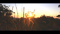 Momentum | A Mountain Bike Film