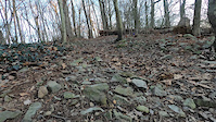 Clips at landis woods