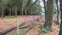 bonaly 30