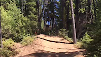 Pecker log and whale tail