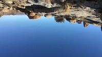 The Crux