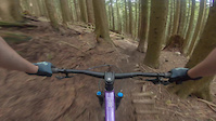 Fromme fall