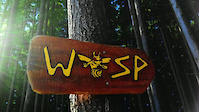 Wasp to Lorax