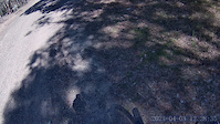 bone yard (remade trail)