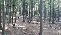 frame dead