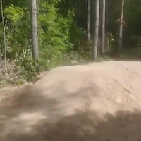 Must Watch Video