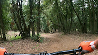trails mix