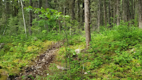 Rock step down gap feature
